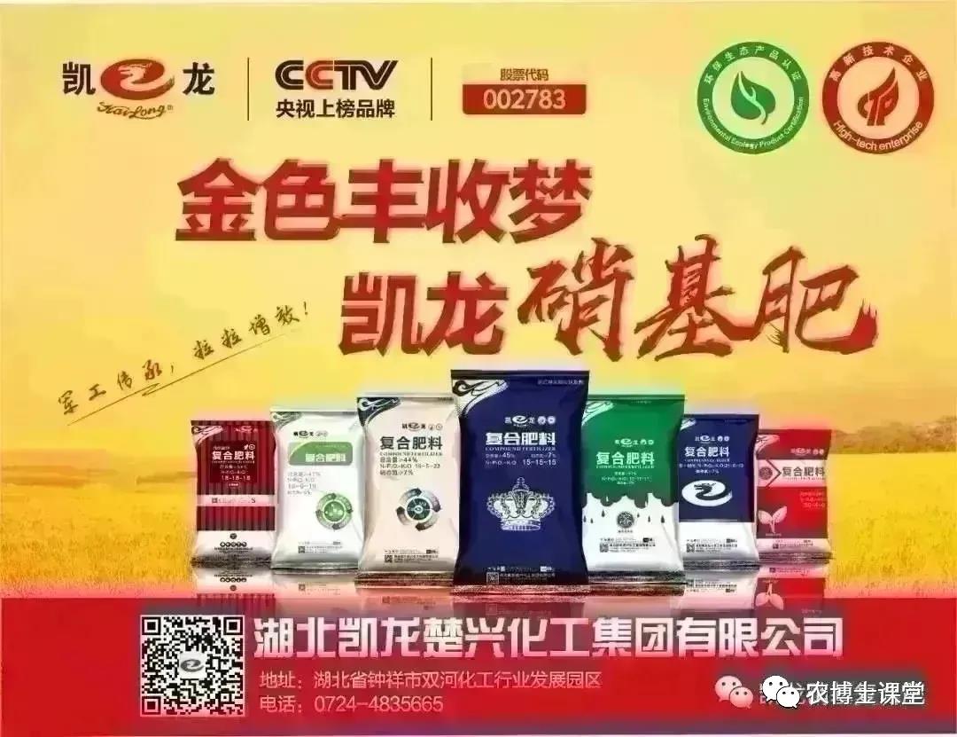春季小麦田间管理，做好这些工作，高产又优质